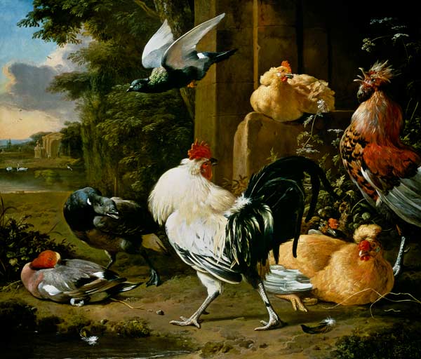 Pigeon and poultry in a garden from Melchior de Hondecoeter