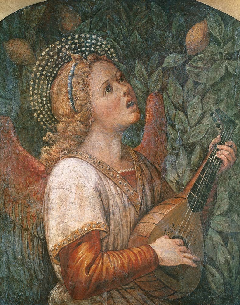 Angel Musician from Melozzo da Forli