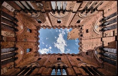 Looking up the Torre del Mangia