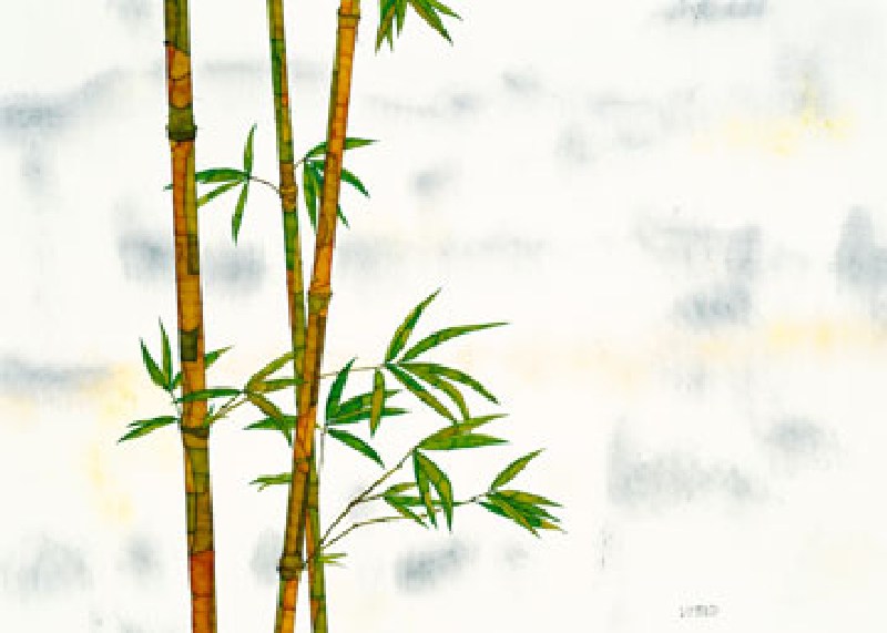 Bambus from Michael Ferner