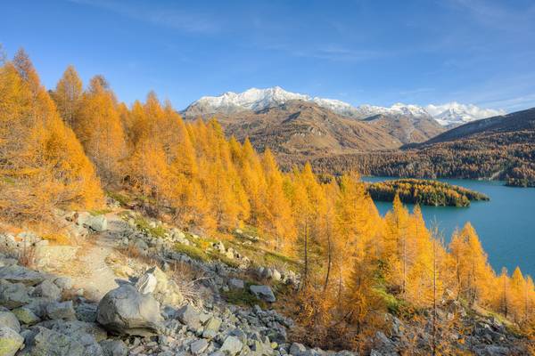 Goldener Herbst am Silsersee im Engadin in der Schweiz from Michael Valjak