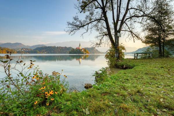 Morgens am Bleder See in Slowenien from Michael Valjak