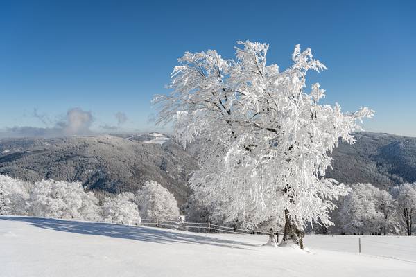 Winter auf dem Schauinsland im Schwarzwald from Michael Valjak