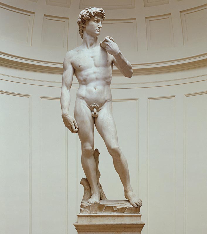 David from Michelangelo Buonarroti