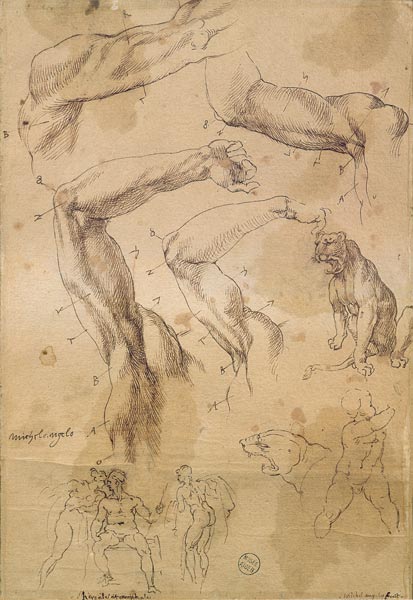 Ms H 184 fol.202 Studies of raised arms, a wild cat and a group of figures  & from Michelangelo Buonarroti