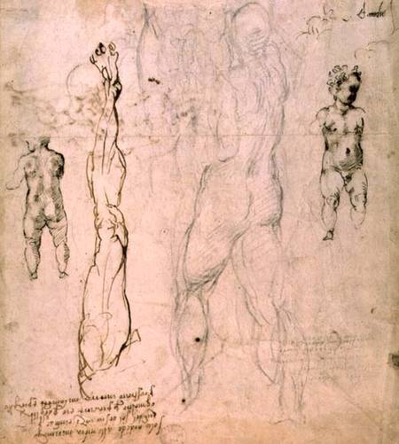 Anatomical drawings with accompanying notes (red chalk) from Michelangelo Buonarroti
