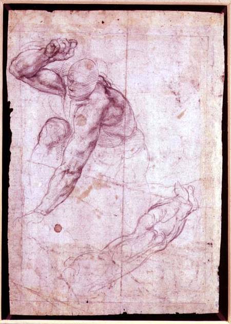 Male figure study from Michelangelo Buonarroti