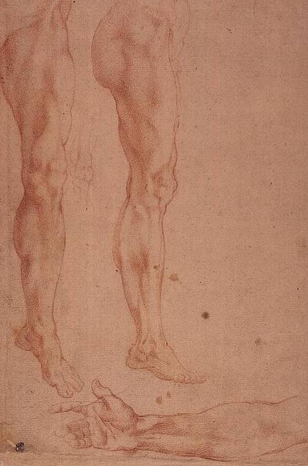 Studies of Legs and Arms from Michelangelo Buonarroti