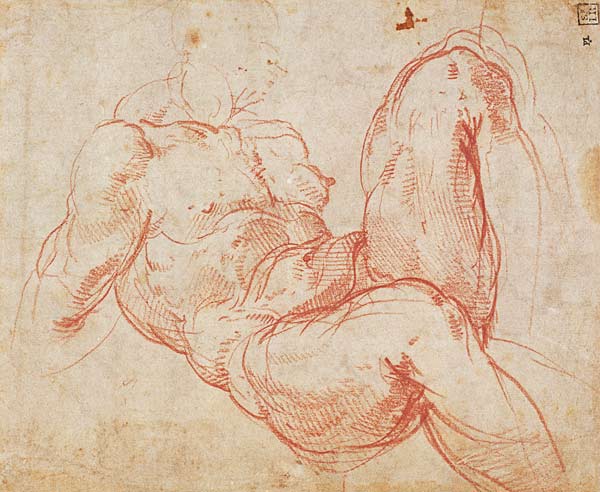 Study of a Nude (red chalk) Inv.1854/5/13/1 Recto (W.10) from Michelangelo Buonarroti