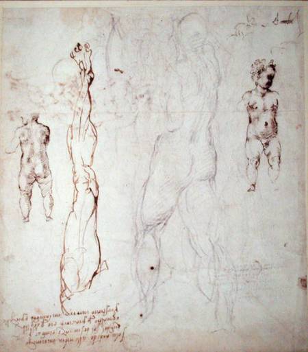 Study of the Christ Child and an Anatomical Drawing with Notes (black chalk & brown ink on paper) (v from Michelangelo Buonarroti