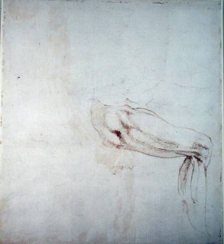Study of a Leg with Notes  (recto) from Michelangelo Buonarroti