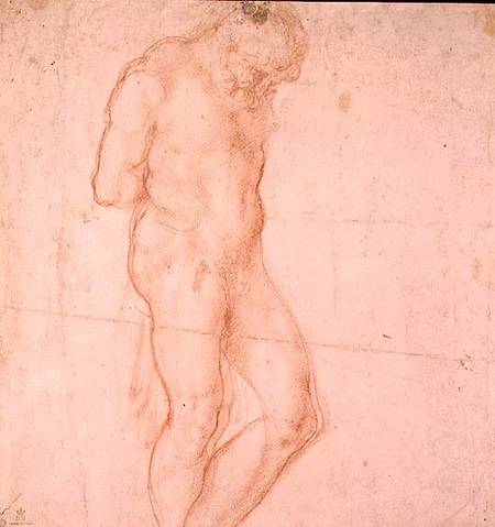 Study of a Nude (red chalk) Inv.1896/7/10/1 Verso (W.64) from Michelangelo Buonarroti