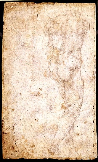 Study of a Male Nude  (for verso see 191765) from Michelangelo Buonarroti