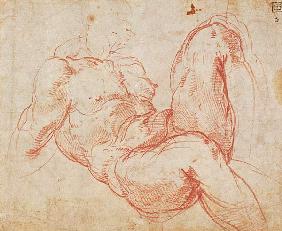 Study of a Nude (red chalk) Inv.1854/5/13/1 Recto (W.10)