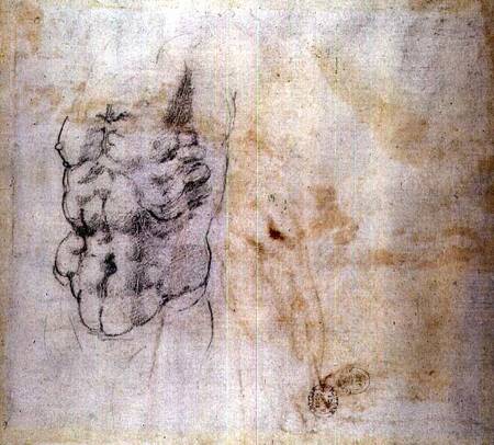 Torso Study (W.45 verso) from Michelangelo Buonarroti