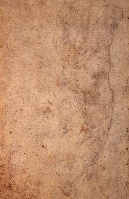 W.48 Sketch of a standing male nude, rear view from Michelangelo Buonarroti