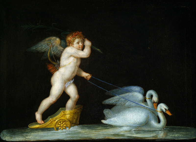 Cupid being led by a pair of swans from Michelangelo Maestri