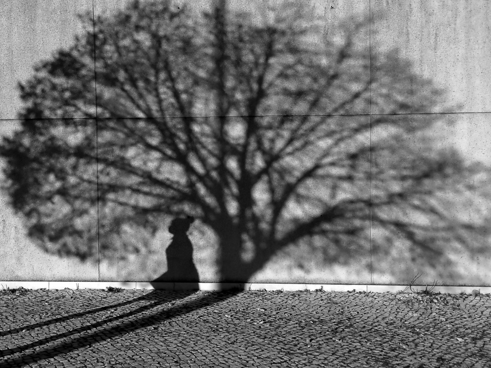 The shadow of a woman in the shadow of a treetop. from Miguel Silva