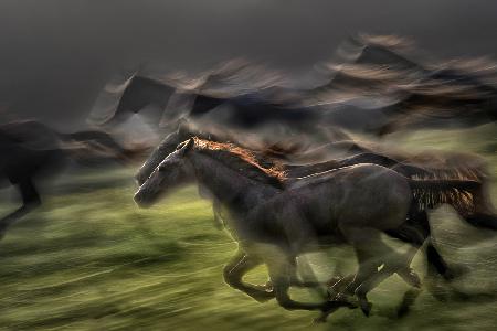 In gallop