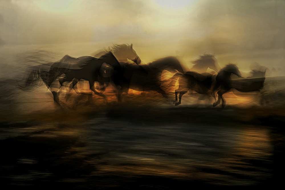In the morning gallop from Milan Malovrh