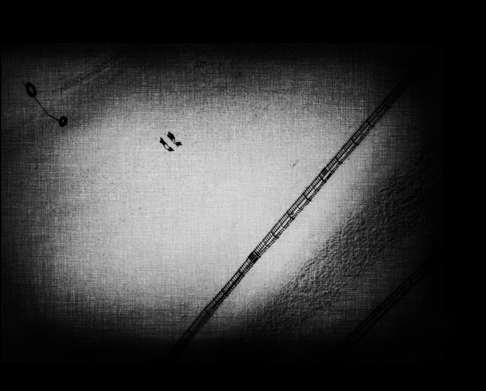 We Are Just Ants from Mirela Momanu