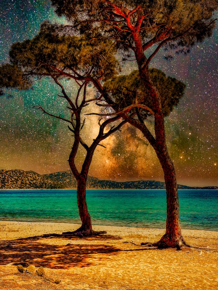 Pinien Bäume am Strand und Sternenhimmel in Griechenland from Miro May