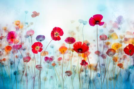 Blaue Blumenwiese mit bunten Blumen, Stillleben, digital Kunst