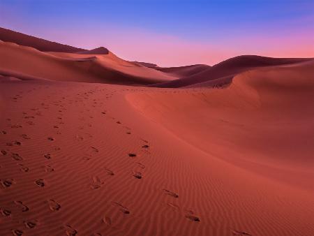 The colors of the desert at sunset