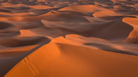 Dunes of the desert