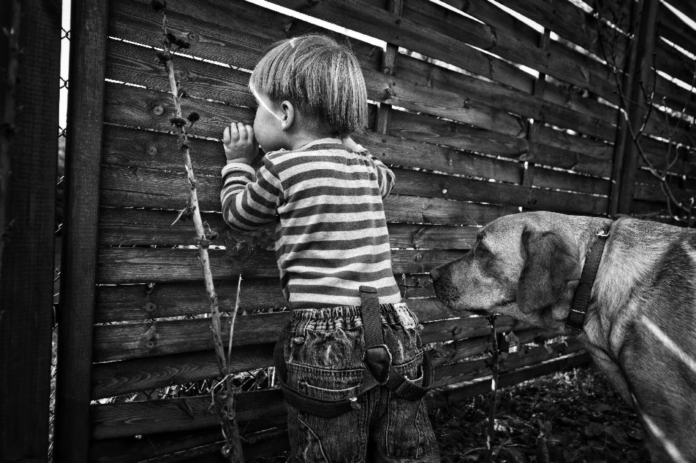 the world from behind the fence from Monika Strzelecka