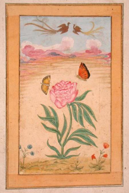 Flowering plants with birds of paradise and butterflies, from the Small Clive Album from Mughal School