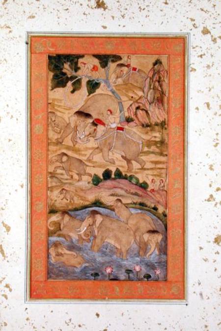 Hunters Capturing Elephants, from the Large Clive Album from Mughal School