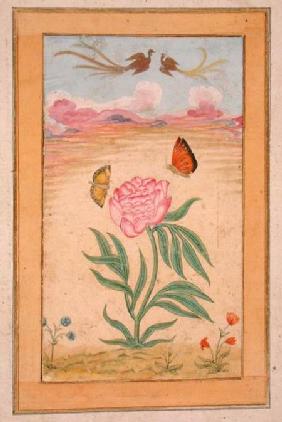 Flowering plants with birds of paradise and butterflies, from the Small Clive Album