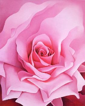 The Rose, 2001 (oil on canvas) 