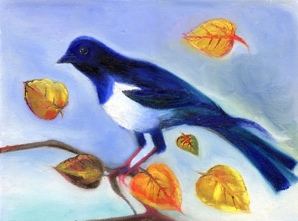 Autumn Magpie from Nancy Moniz Charalambous