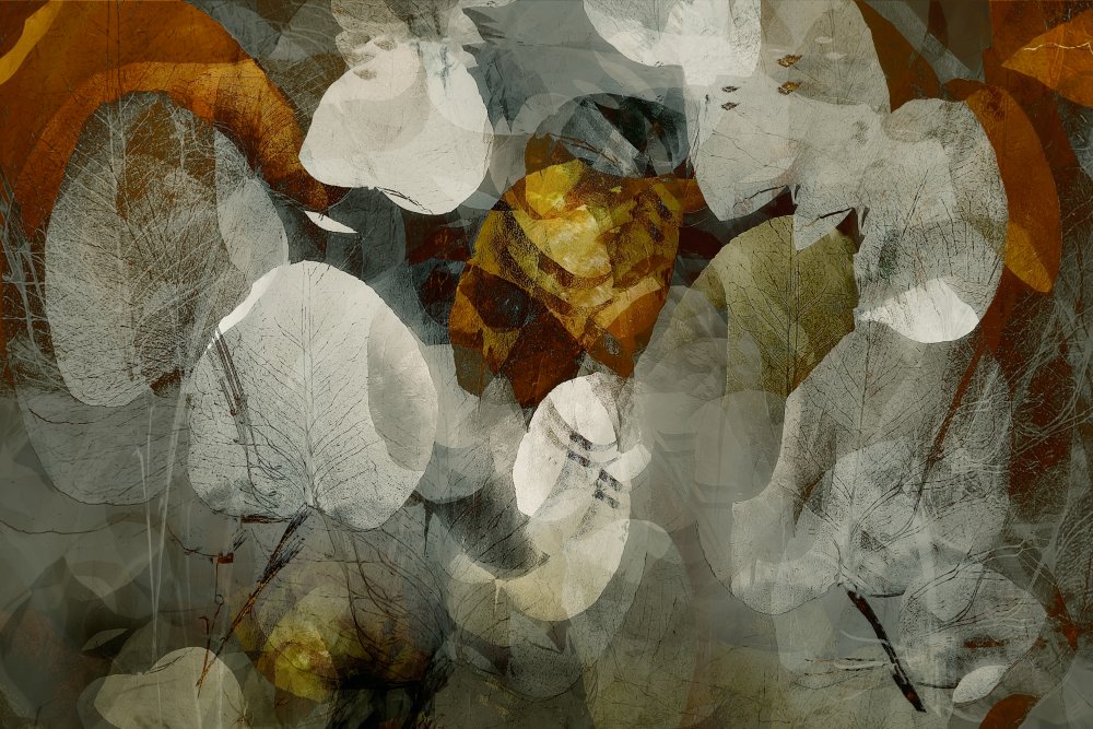 Autumn abstract from Nel Talen