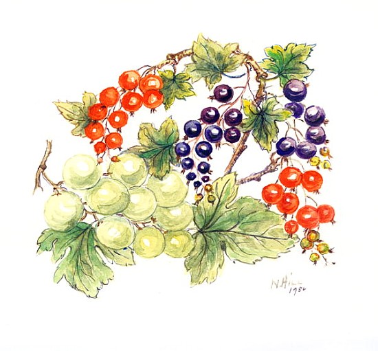 Black and Red Currants with Green Grapes, 1986 (w/c on paper)  from Nell  Hill