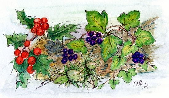 Log of Ivy, Holly and Hazelnuts from Nell  Hill