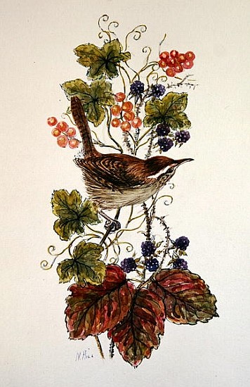 Wren on a spray of berries  from Nell  Hill