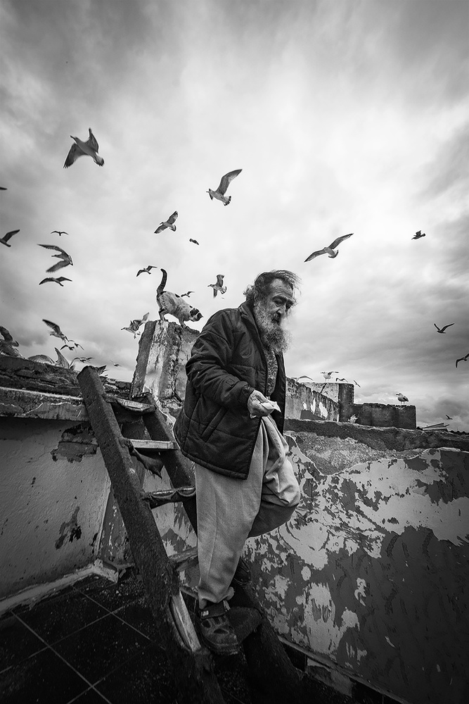 Man feeding seagulls from Nihal Eken