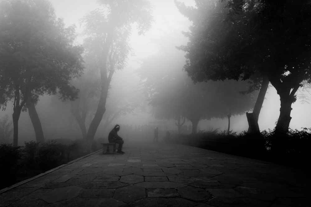 The Fog from Nilendu Banerjee