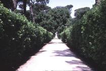 View of the garden, detail of the walkway lined with boxwood hedges, designed by Nanni di Baccio Big