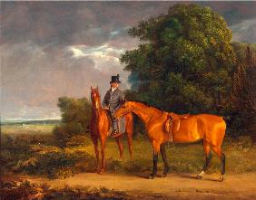A Groom Mounted on a Chestnut Hunter