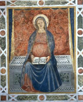 Battista da Vicenza /Madonna del Magnif.