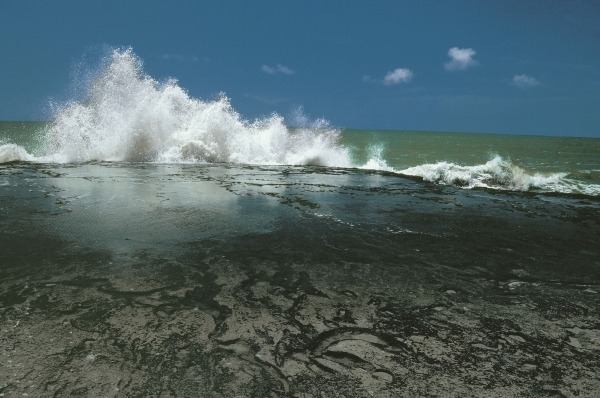 Chorwad known mainly for giant waves breaking against algae-covered rocks (photo)  from 