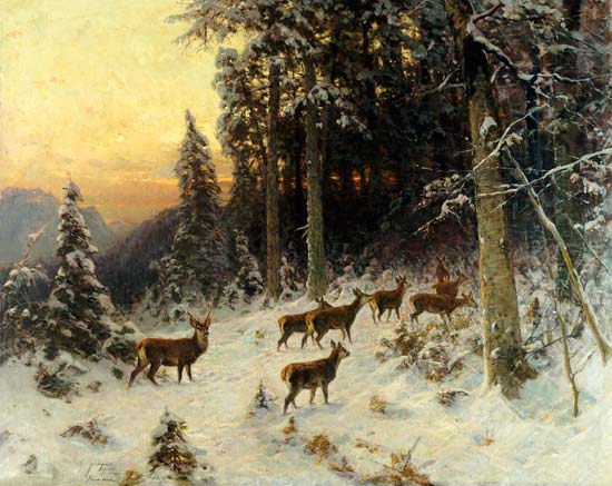 Deer In Winter Wooded Landscape from 