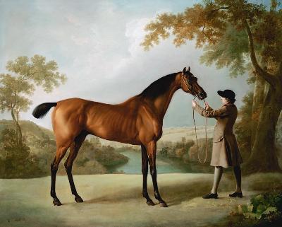 Racehorse Held By Groom Across Vast Landscape - Tristram Shandy