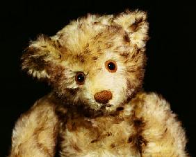 Close Up Of A Steiff ''Dual'' Mohair Teddy Bear, C, 1926