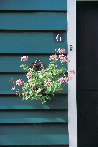 Flower-pot hung from peg on one of the door''s blue slats showing six number (photo)  from 