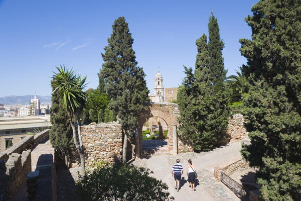 Gardens in the Alcazaba, Malaga, Costa del Sol (photo)  from 